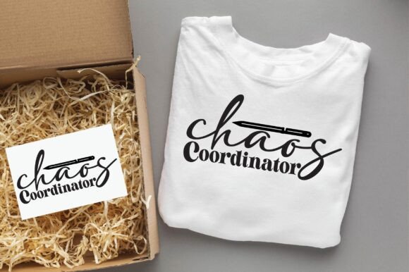 The Chaos Coordinator Teacher Design: A Professional's Take